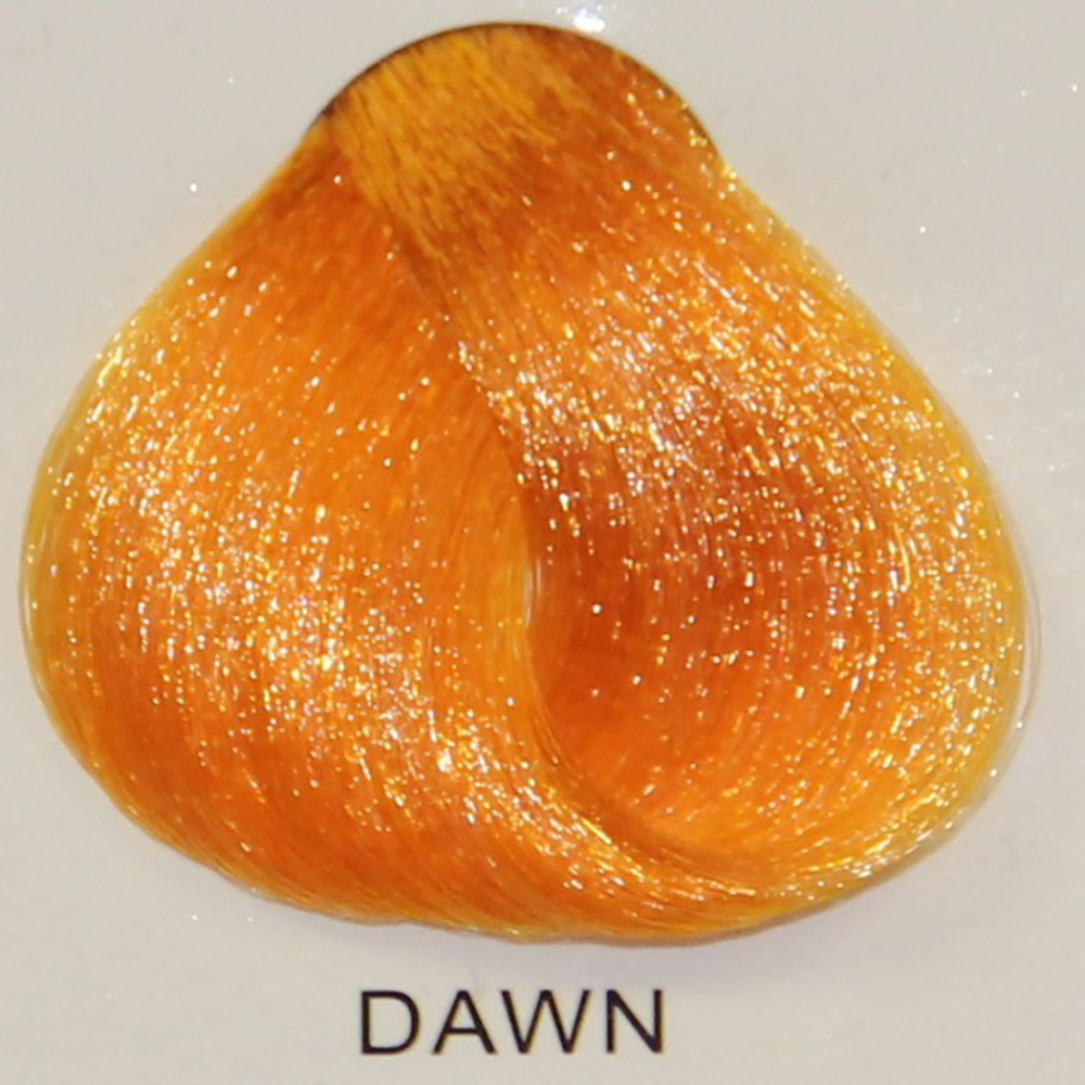 STARGAZER Dawn 2 STARGAZER Dawn