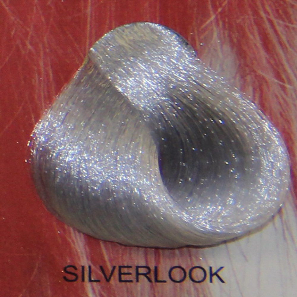 STARGAZER Silverlook 2 STARGAZER Silverlook