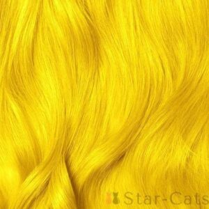 Lunar Tides Citrine