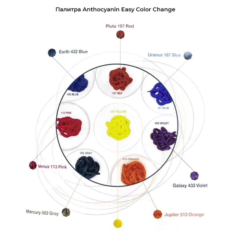 PALITRA ECC Палитра Anthocyanin Easy Color Change