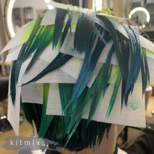использование Kitmix Birdybird