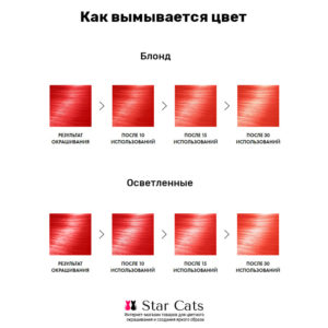 Bad Girl Phoenix на волосах