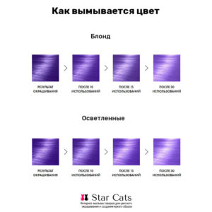 Bad Girl Purple Storm на волосах