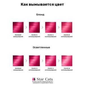 Bad Girl Star in Shock на волосах